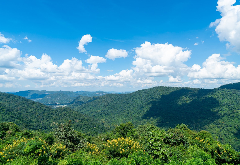 ที่พักเขาใหญ่