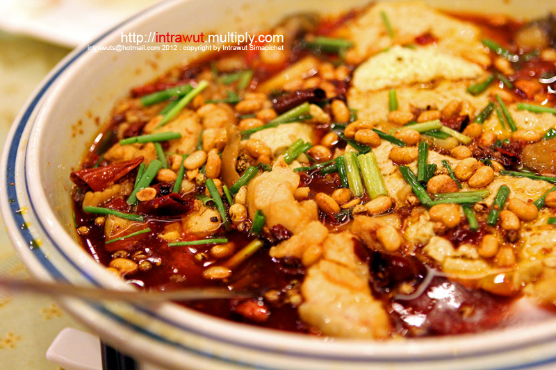 ฉงชิ่ง เฉิงตู Chongqinq Chengdu : คู่มือท่องเที่ยวเมืองฉงชิ่ง-เฉิงตู
